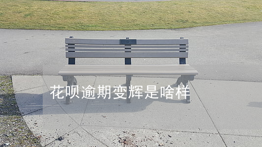 花呗逾期变辉是啥样