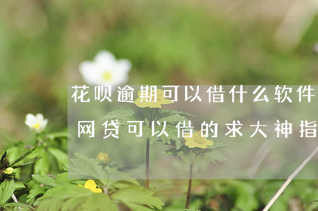 花呗逾期可以借什么软件(花呗逾期还有什么网贷可以借的,求大神指导)