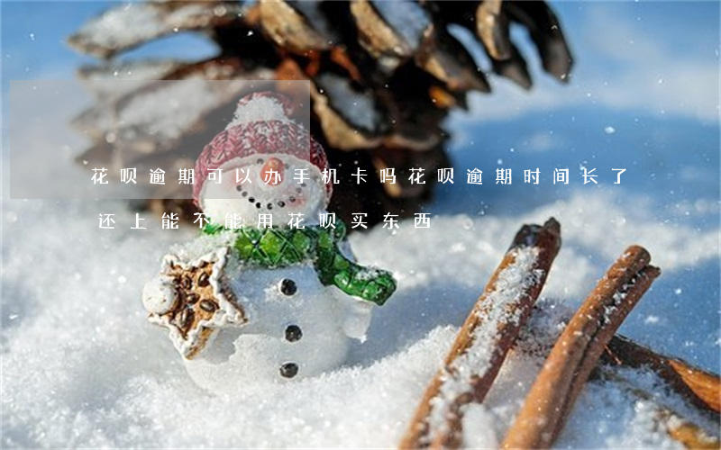 花呗逾期可以办手机卡吗(花呗逾期时间长了还上能不能用花呗买东西)