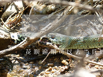 花呗逾期可以去当兵吗(当兵花呗没还怎么办)