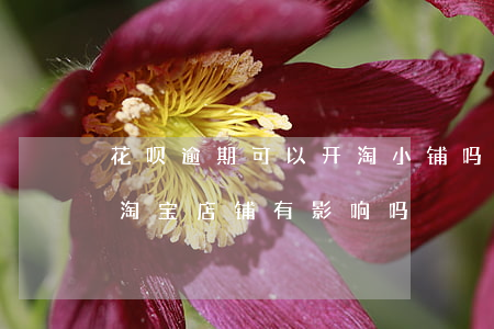 花呗逾期可以开淘小铺吗(网商贷花呗逾期,对淘宝店铺有影响吗)