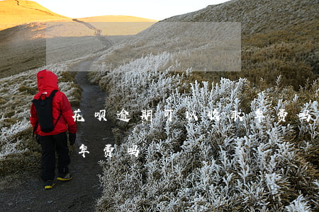 花呗逾期可以收取年费吗(花呗逾期可以收取年费吗)