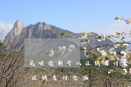 花呗逾期可以注销支付宝嘛-花呗逾期可以注销支付宝嘛