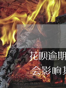 花呗逾期可以用医保卡吗(花呗没有逾期会不会影响其他银行卡的使用)