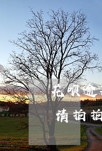 花呗逾期可以申请拍拍贷么(花呗逾期可以申请拍拍贷么)