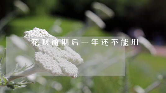 花呗逾期后一年还不能用