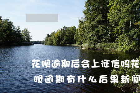 花呗逾期后会上征信吗(花呗逾期上征信吗?花呗逾期有什么后果 新闻)
