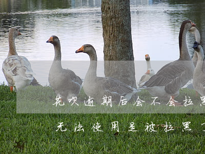 花呗逾期后会不会拉黑(花呗逾期别的网贷也无法使用是被拉黑了吗)