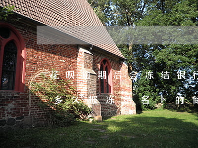 花呗逾期后会冻结银行卡(花呗逾期起诉之后多久被冻结名下的储蓄卡)