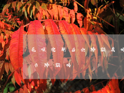 花呗逾期后会降额度吗(花呗逾期会影响信用卡降额吗)