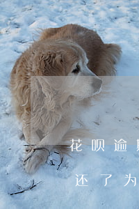 花呗逾期后可以再还款吗(花呗借款逾期后又还了为什么不能再用了)