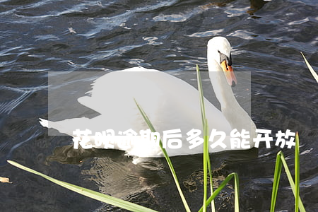 花呗逾期后多久能开放