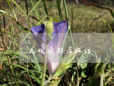 花呗逾期后征信
