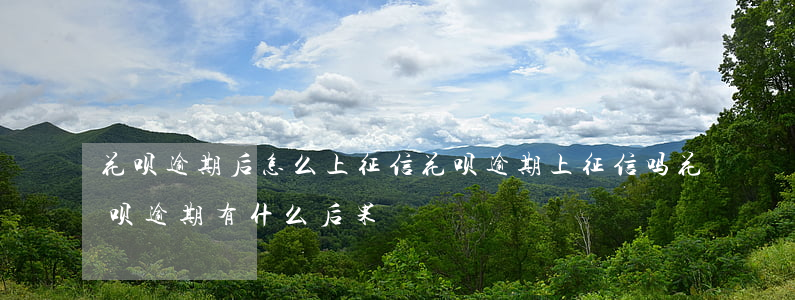 花呗逾期后怎么上征信(花呗逾期上征信吗?花呗逾期有什么后果)