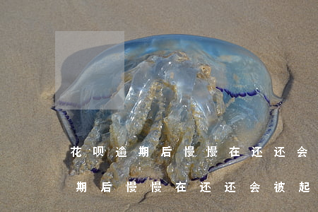 花呗逾期后慢慢在还还会被起诉吗-花呗逾期后慢慢在还还会被起诉吗怎么办
