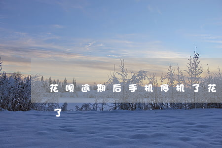 花呗逾期后手机停机了(花呗逾期后手机停机了)