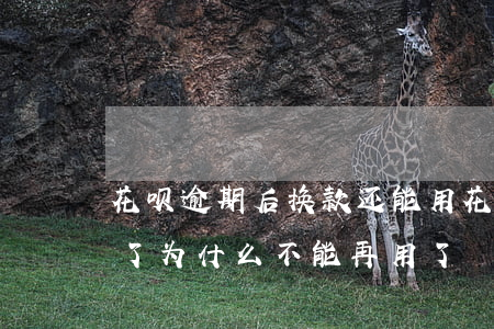 花呗逾期后换款还能用(花呗借款逾期后又还了为什么不能再用了)