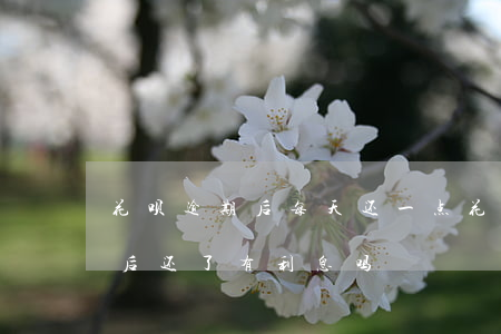 花呗逾期后每天还一点(花呗逾期1天还了之后还了有利息吗)