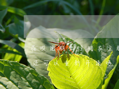 花呗逾期后注销在注册(花呗逾期关闭了还清还可以重新开通吗)
