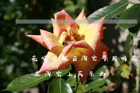 花呗逾期后淘宝可用吗(花呗逾期了还能不能在淘宝上买东西?)