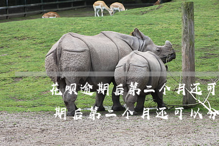 花呗逾期后第二个月还可以分期吗-花呗逾期后第二个月还可以分期吗