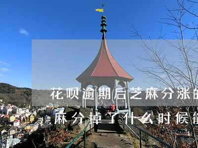 花呗逾期后芝麻分涨的慢(如果花呗逾期了,芝麻分掉了,什么时候能涨回来?)