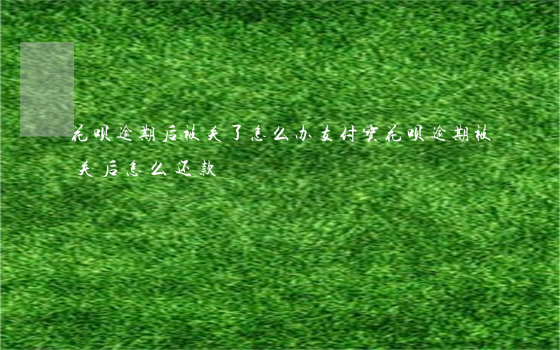 花呗逾期后被关了怎么办(支付宝花呗逾期被关后怎么还款)