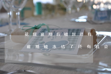 花呗逾期后被封还有开通的机会吗-花呗因逾期被冻结了还有机会恢复吗