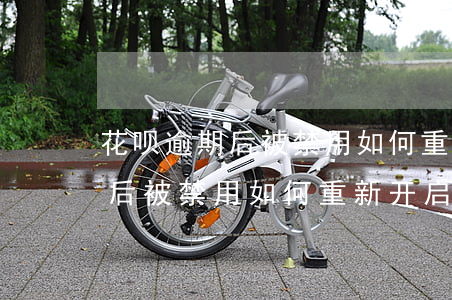 花呗逾期后被禁用如何重新开启-花呗逾期后被禁用如何重新开启额度