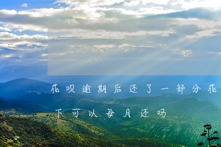 花呗逾期后还了一部分(花呗还完逾期部分剩下可以每月还吗)