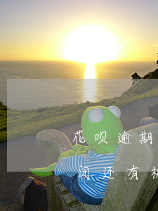 花呗逾期后重新开通了(花呗逾期1年还了关闭还有机会开通使用吗)