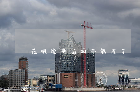 花呗逾期后面不能用了