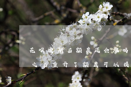 花呗逾期后额度还会涨吗(花呗逾期过后半年之后重开了,额度可以提升吗)