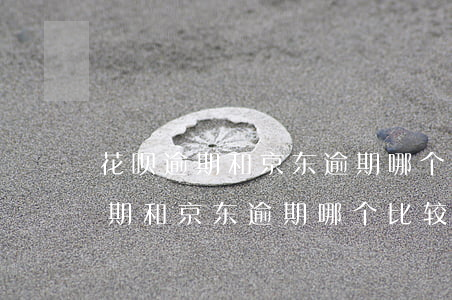 花呗逾期和京东逾期哪个比较严重-花呗逾期和京东逾期哪个比较严重些