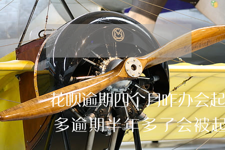 花呗逾期四个月咋办会起诉吗(花呗4000多逾期半年多了会被起诉吗?)