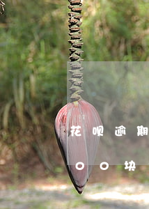 花呗逾期四千会向法院起诉吗(花呗逾期1000块钱四个月会被告上法庭吗)