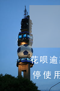 花呗逾期四天冻结几天(花呗逾期了四天被暂停使用要多久才能恢复)