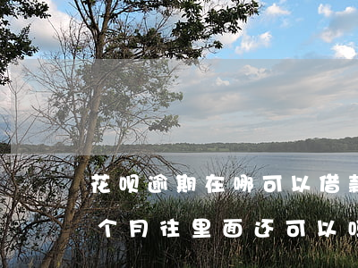 花呗逾期在哪可以借款(花呗借呗都逾期了每个月往里面还可以吗)