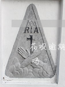 花呗逾期地铁可以坐吗(花呗可以用来乘地铁吗)