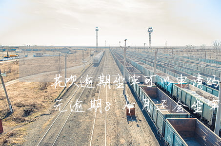 花呗逾期坐牢可以申请吗(欠花呗8000多元逾期8个月还会坐牢吗)