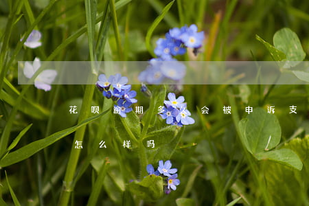 花呗逾期多久会被申诉(支付宝花呗逾期了会怎么样吗)