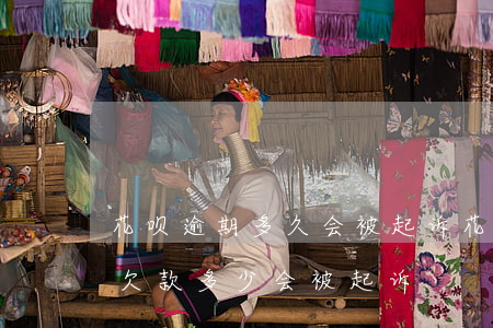 花呗逾期多久会被起诉?花呗逾起诉（花呗逾期欠款多少会被起诉）