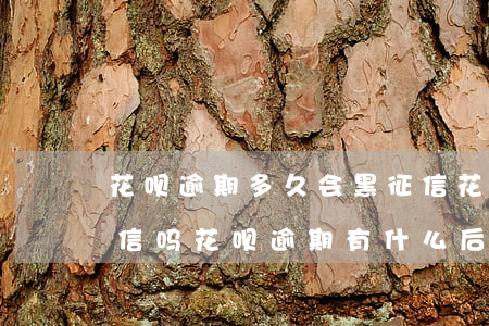 花呗逾期多久会黑征信(花呗逾期几个月上征信吗?花呗逾期有什么后果)