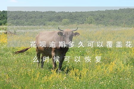 花呗逾期多久可以覆盖(花呗被限制使用了,什么时候可以恢复)