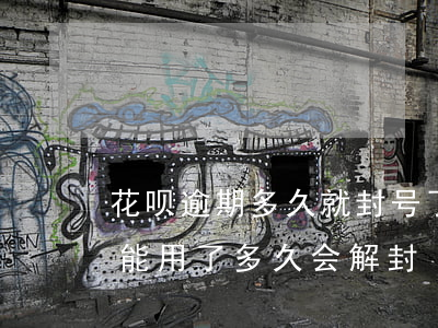 花呗逾期多久就封号了(花呗逾期后来还了,不能用了,多久会解封)