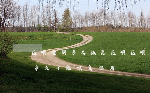 花呗逾期多久恢复花呗(花呗逾期记录消除要多久才能恢复信用)