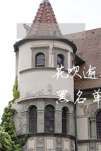 花呗逾期多久才进黑名单(花呗多久不还会上黑名单)