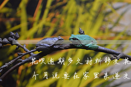 花呗逾期多久材料移交(花呗5000逾期3个月说要在家里来递交材料)
