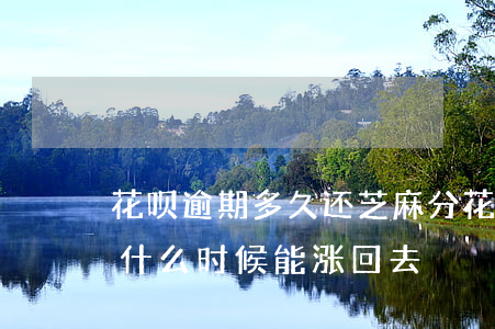 花呗逾期多久还芝麻分(花呗逾期后芝麻信用什么时候能涨回去)