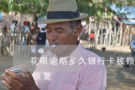 花呗逾期多久银行卡被锁(花呗被锁了多久能恢复)